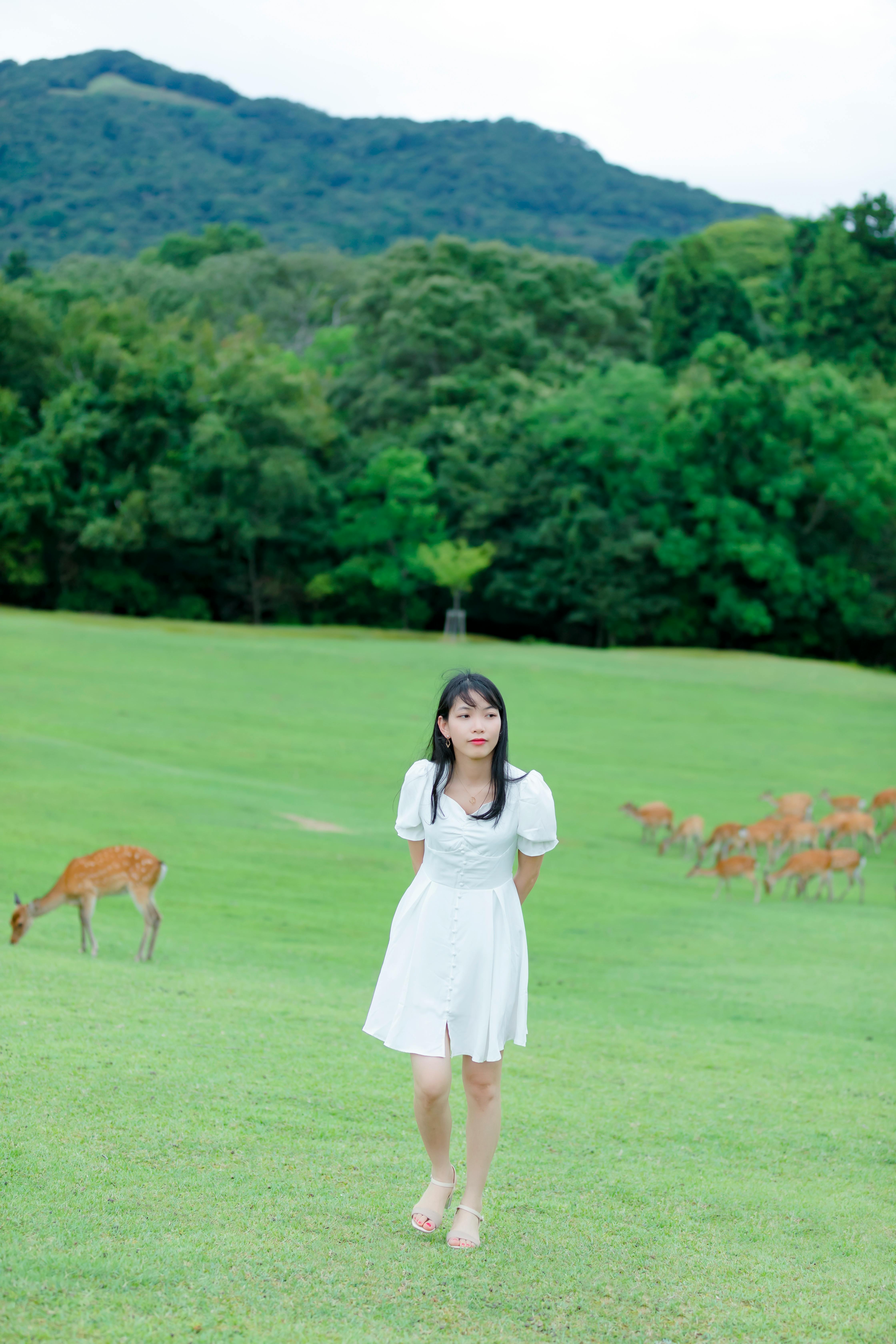 讲师：Nguyen Hung